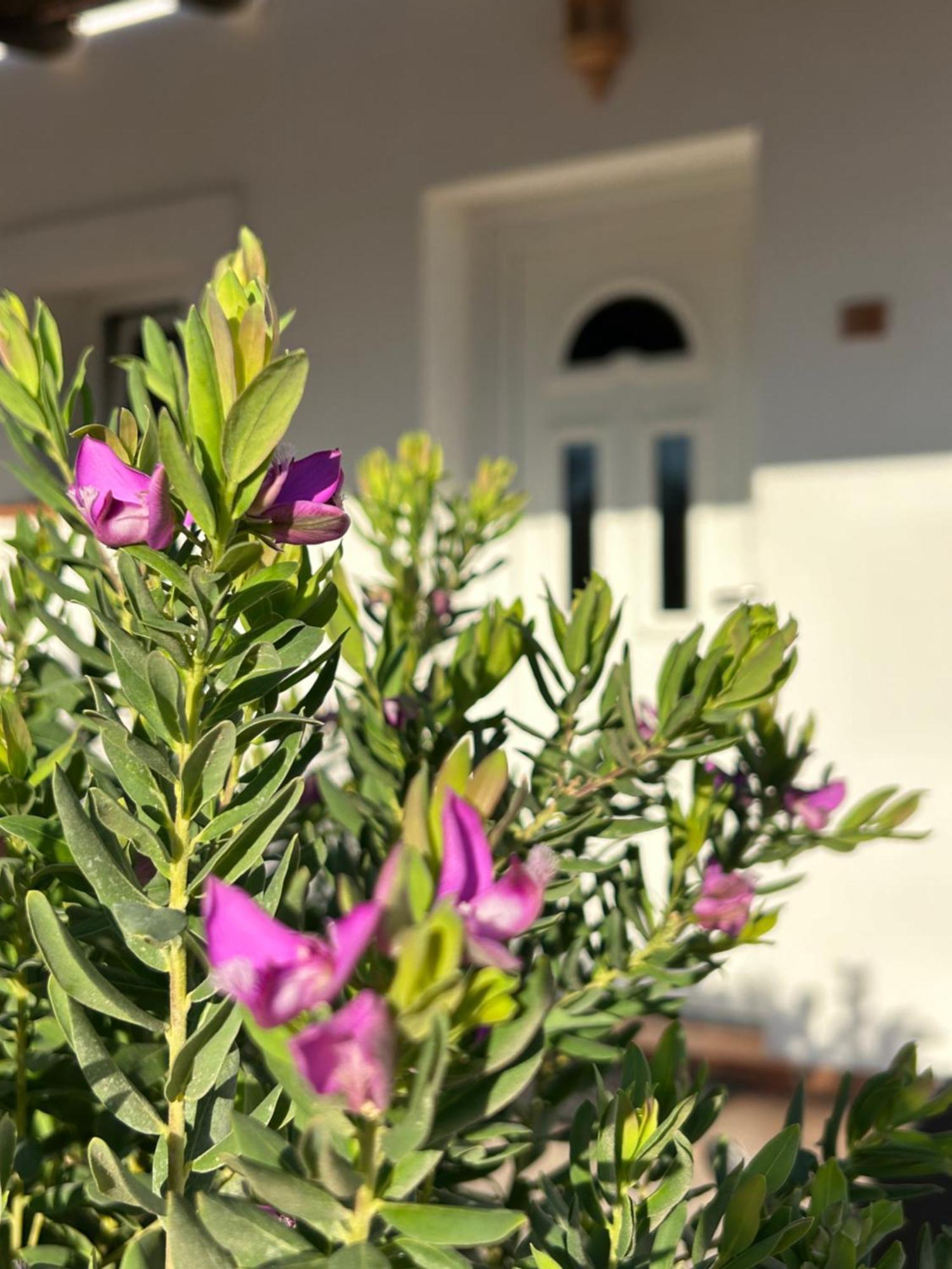 Oasi Di Casablanca Hotel Lampedusa Exterior photo